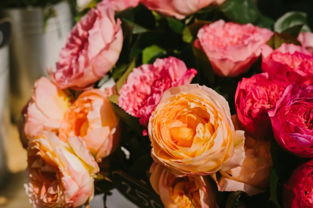 "以銷定采"在鮮花行業(yè)的正確打開方式